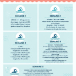 Femme nageant avec aisance dans une piscine, illustrant un programme de natation pour le cardio.