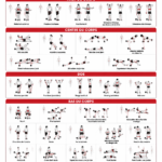 Guide d'entraînement avec des bandes de résistance, hommes et femmes en action.