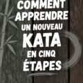 Femme pratiquant un kata en extérieur, absorbtive et concentrée.