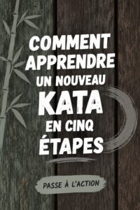 Femme pratiquant un kata en extérieur, absorbtive et concentrée.