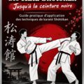 Démonstration de techniques de Bunkai dans le karaté Shôtôkan par une femme pratiquante.