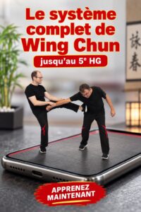 Femme pratiquant des techniques de Wing Chun en plein entraînement.