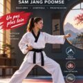 Femme en train de pratiquer le Taegeuk #3 Sam Jang Poomse
