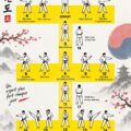 Démonstration de Taeguk Il Chang en Taekwondo, mettant en avant les mouvements fluides et la posture correcte.